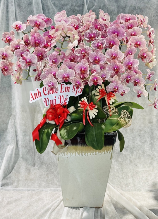 Dành Cho Em - 10 Cây 