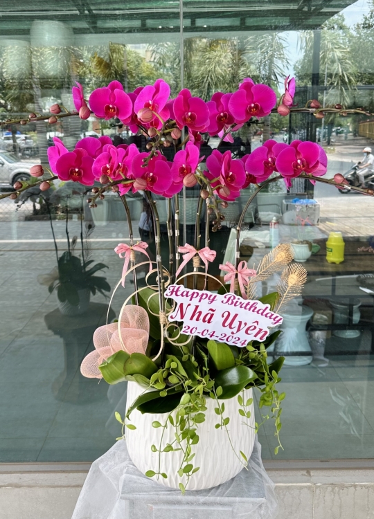 Tím Yêu Thương - 7 Cây