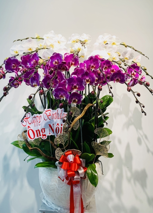 Happy Birthday - 20 Cây