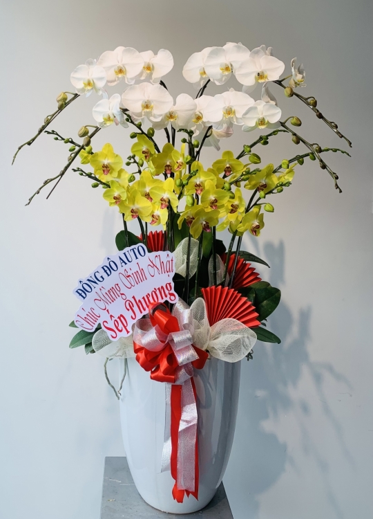 Hoa Sinh Nhật - 12 Cây