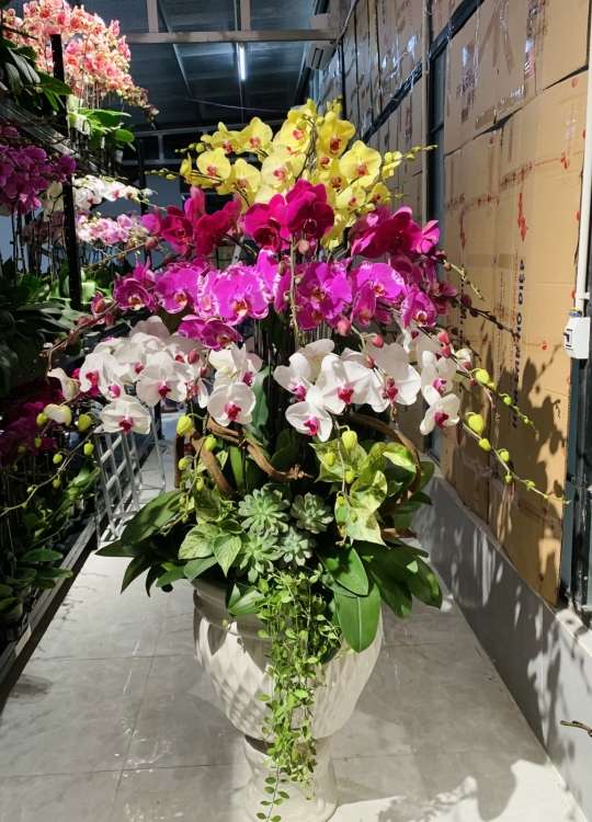 Hoa Chúc Kỉ Niệm - 36 cây