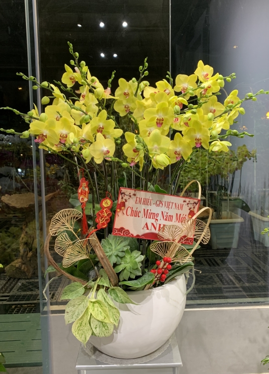 Vàng Thần Tài- 12 Cây