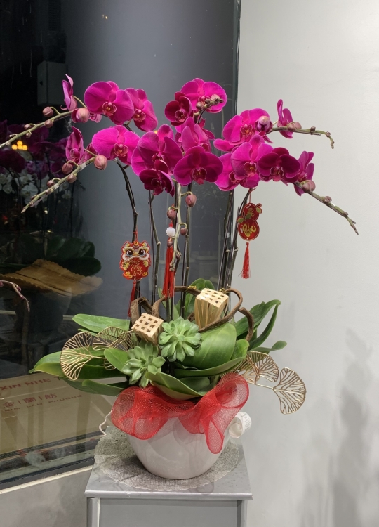 Hoa Tím Tặng Em - 6 Cây