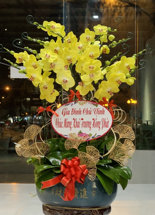 Khai Trương Phú Quý - 12 Cây