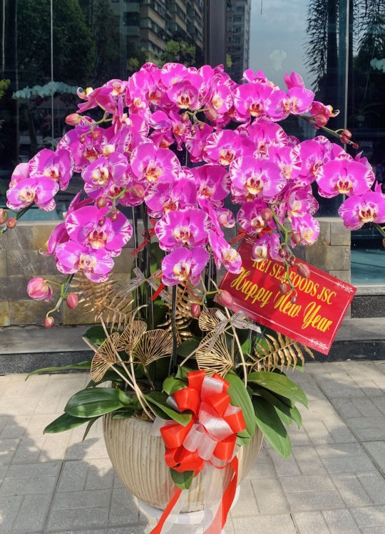 Đại Bảo Đồ - 10 Cây