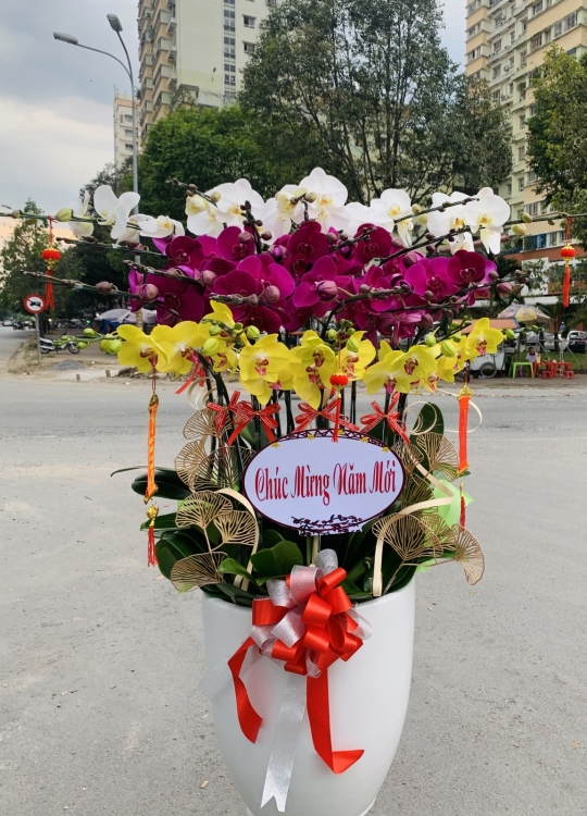 Xuân Sum Vầy - 25 cây