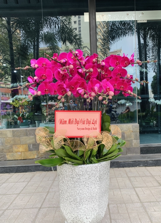 Tết Đại Cát - 15 cây