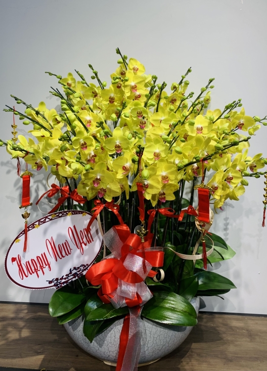 Phát Tài -20 Cây (2 Vòi)