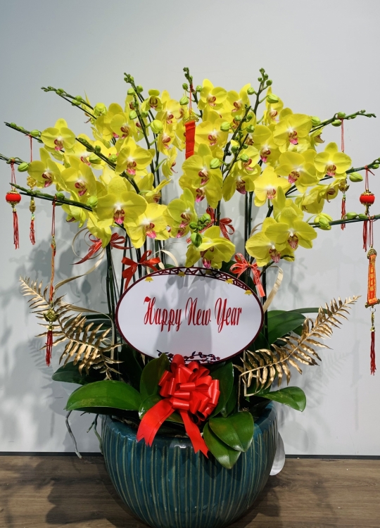 Phúc Lộc- 15 Cây