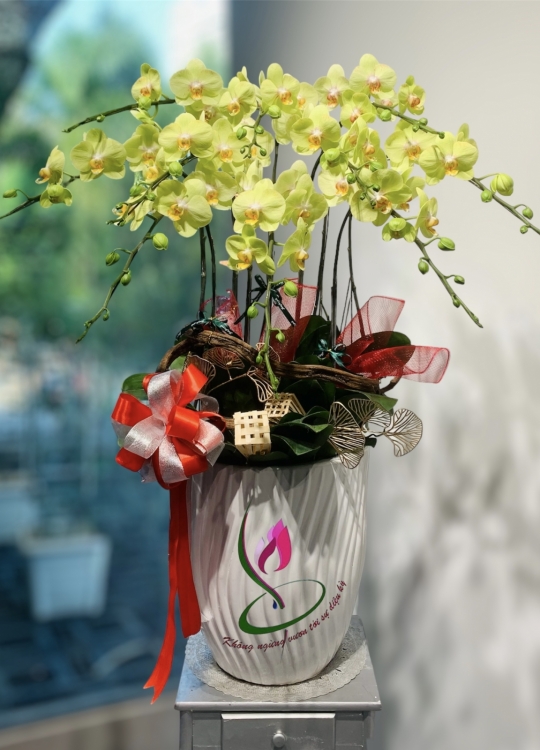 LHĐ Tết07 10 Cây