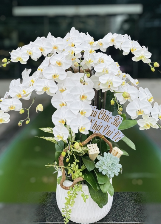 Trắng Thuần Khiết- 8 Cây